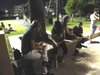 intervista con il giornalista